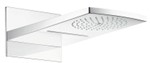 Raindance Rainfall Shower Rose